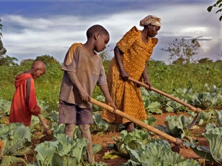 Olusegun Obasanjo salue les efforts du Maroc dans la contribution à la sécurité alimentaire en Afrique
