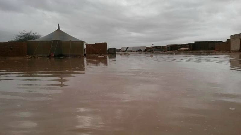 Inondations à Tindouf : l’appel à l’aide internationale du « CRS » à peine résonne-t-il dans le désert algérien