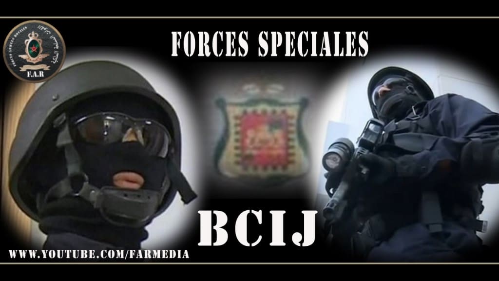 Deux individus de nationalité européenne parmi 4 membres d’un réseau criminel démantelé vendredi par le BCIJ