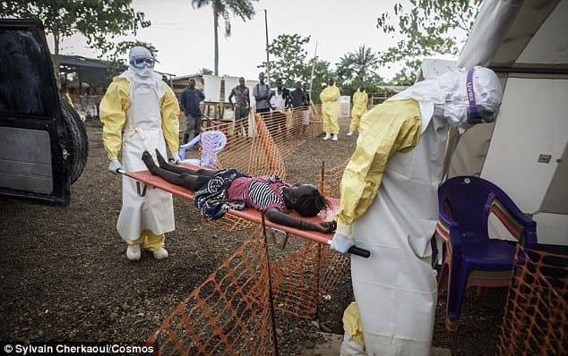 Ebola : Fin de l’épidémie en Sierra Leone (OMS)
