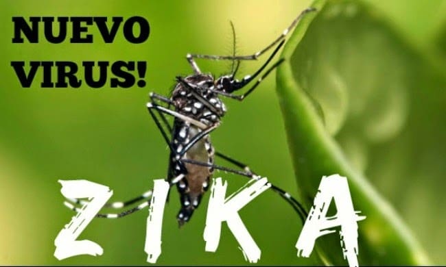 Aucun cas de Zika au Maroc (Ministère de la Santé)
