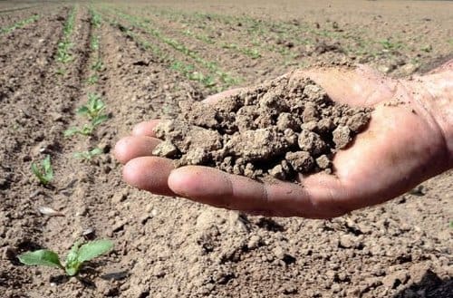 Le Plan anti-sécheresse nécessitera plus de 5 milliards de dh