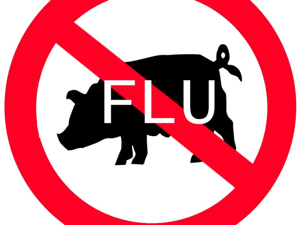 Pas  d’épidémie de grippe porcine à Casablanca (Ministère de la Santé )