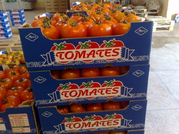 Hausse des prix des tomates : les laborieuses explications du gouvernement