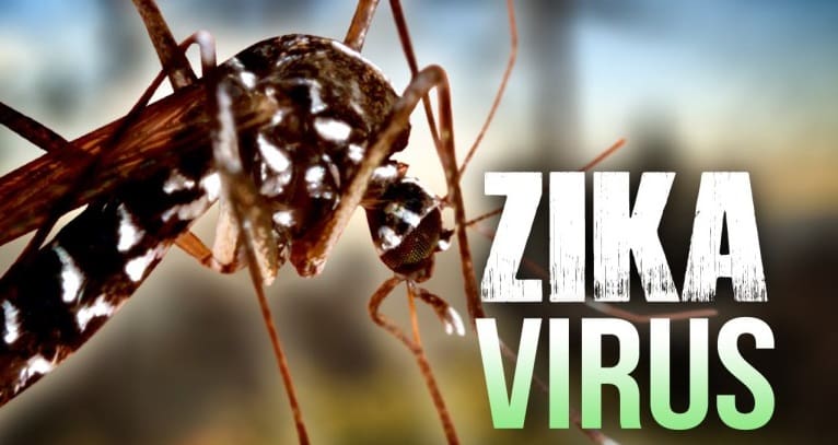 Le Zika est une urgence de santé de priorité mondiale (OMS)