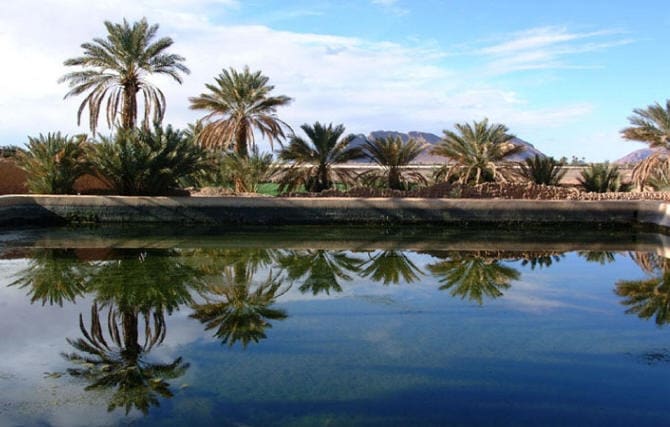 Marrakech : un cadavre découvert dans le bassin de la Menara mobilise les services sécuritaires