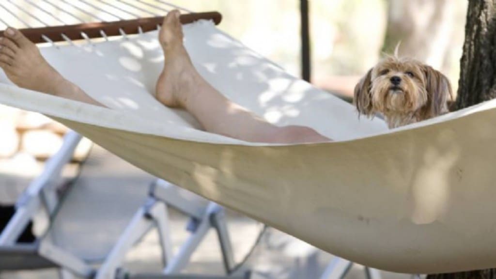 Espagne : Fonctionnaire fantôme, il ne s’est jamais rendu au travail de 2004 à 2010