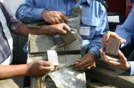 Nador: Saisie de près de 1.200 kg de chira