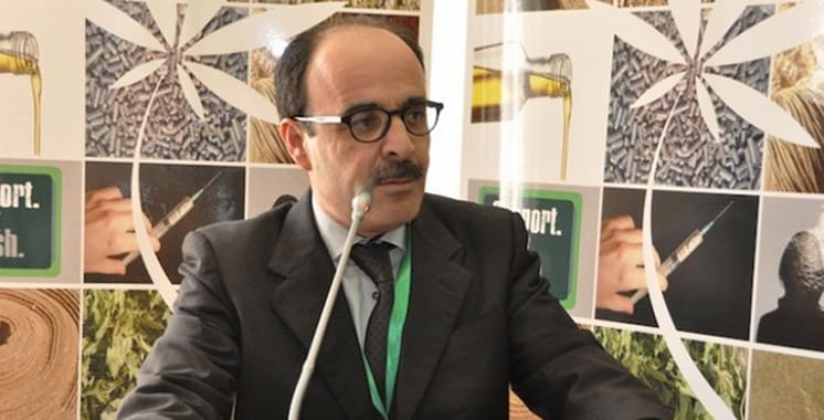 La légalisation du cannabis toujours en débat