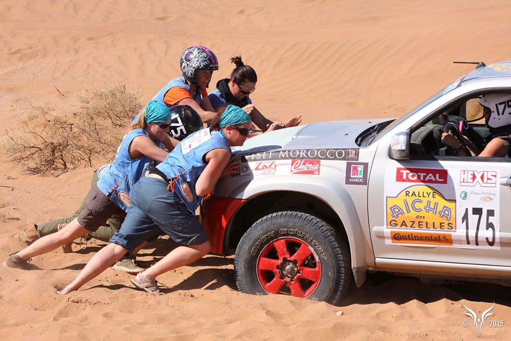 Sport auto: les Gazelles sur les startings blocks