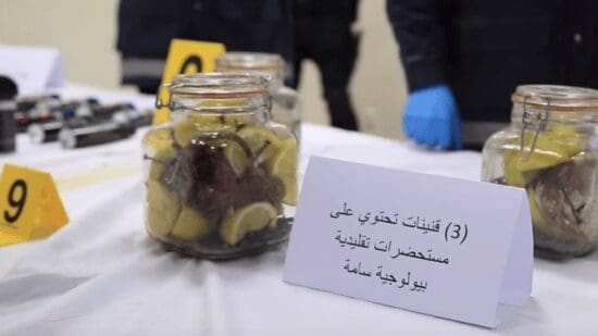 Les produits suspects saisis le 18 février chez un réseau terroriste comportaient des substances toxiques et biologiques mortelles (officiel)