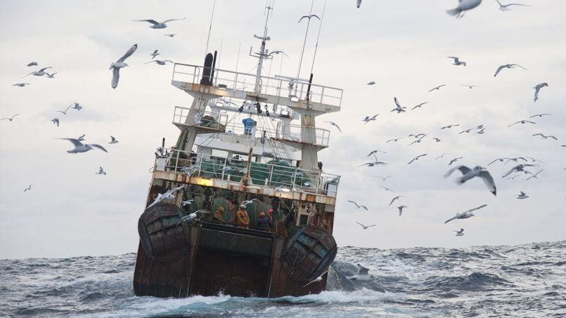 Pêche en haute mer : vers le retrait de permis de certains hauts responsables civils et militaires (Al Massae)