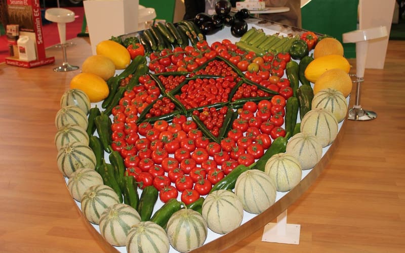 Agriculture : Akhannouch parle d’ « indicateurs positifs »