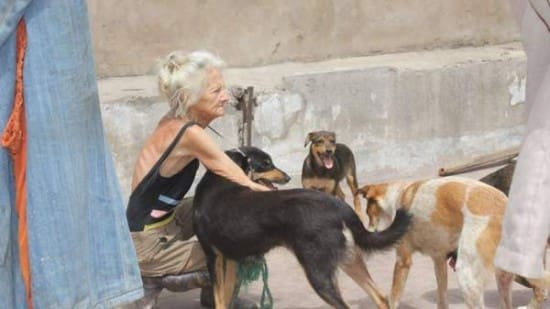 Casablanca: Enquête sur la mort de « Marles », connue pour son amour aux chiens et chats