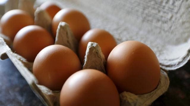 Royaume Uni: Des chercheurs ont mis au point un pansement cicatrisant à  base de coquilles d’oeufs