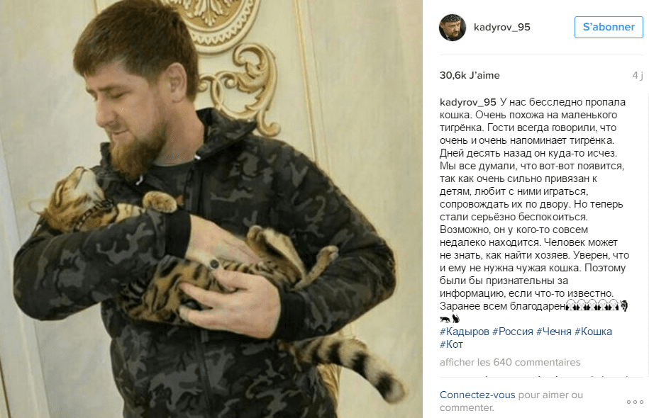 Tchétchénie: Le président Ramson Kadyrov cherche, sur Instagram, son chat perdu il y’a dix jours