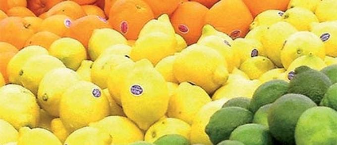 Reprise des exportations d’agrumes marocains vers les Etats Unis d’Amérique à partir d’octobre 2016