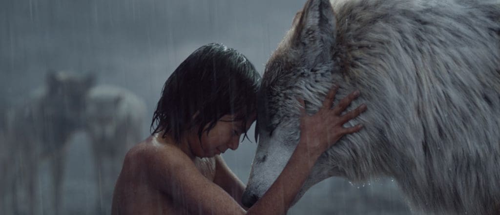 Top 10 des humains élevés par des animaux