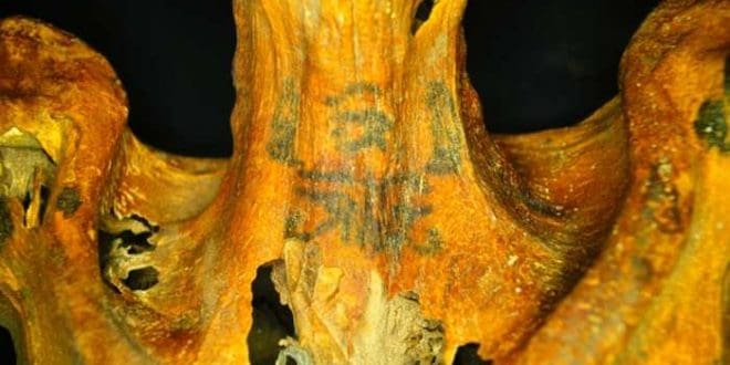 Egypte: Découverte d’une momie de femme datant de 3300 ans et couverte de tatouages (images)