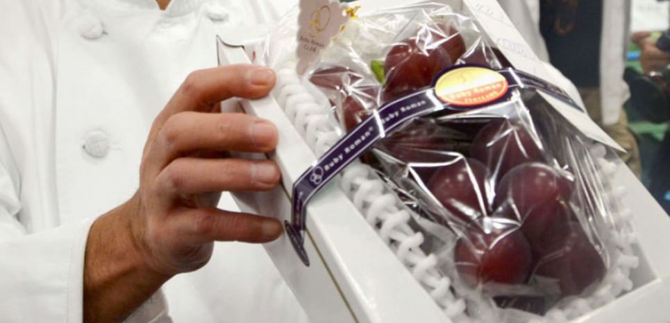 Japon: Une grappe de raisins vendue aux enchères pour la somme de 10 000 euros