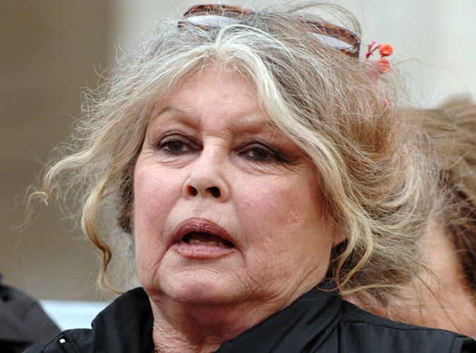 Le tweet de Brigitte Bardot sur les musulmans  choque la toile (tweets)
