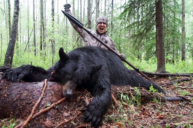 Il tue un ours et s’en vante sur les réseaux sociaux, Twitter s’indigne