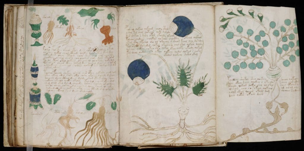 Manuscrit de Voynich: Le livre le plus mystérieux du monde enfin reproduit et édité (illustrations)