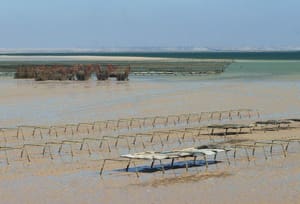 Dakhla: deux gendarmes meurent noyés en tentant de sauver 2 enfants