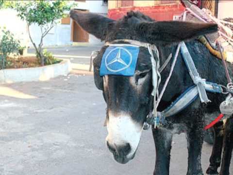 Le Maroc insolite que j’aime…