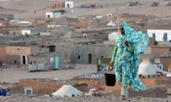 Trafic de drogue à grande échelle: le polisario pris une nouvelle fois la main dans le sac