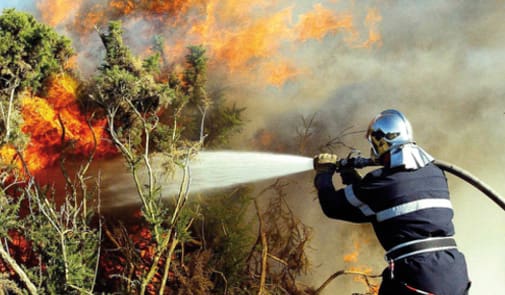 Larache : Un incendie maitrisé dans une zone forestière