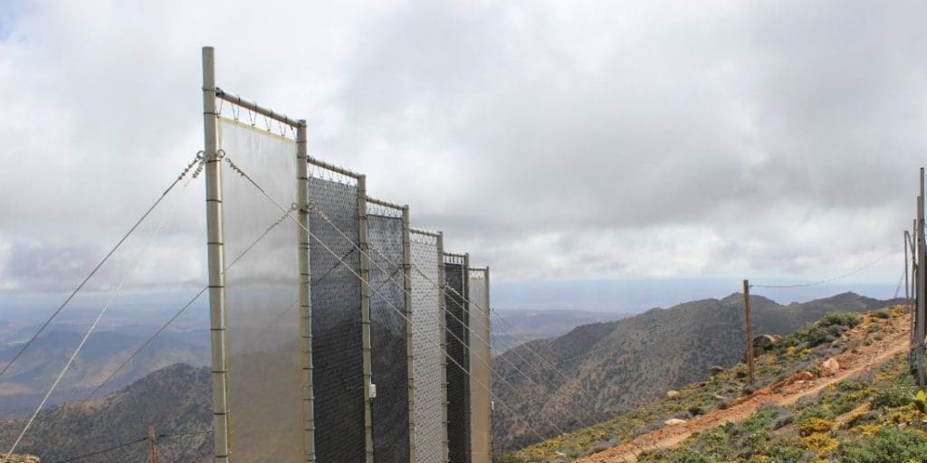 L’ONG Dar Si Hmad remporte le prix des Nations Unies pour un projet de collecte d’eau de brouillard