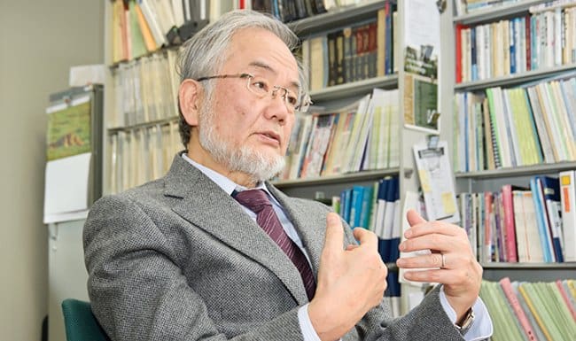 Le japonais Yoshinori Ohsumi obtient le prix Nobel de médecine