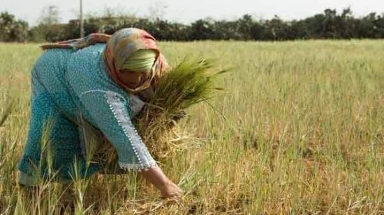 La faim progresse dans le monde arabe, alerte l’ONU