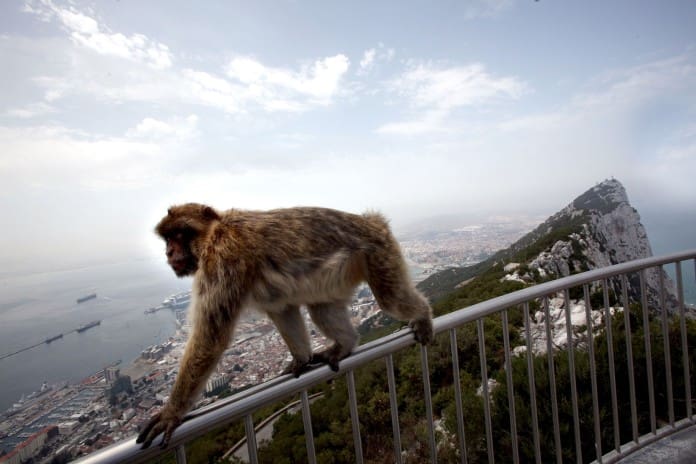 Gibraltar repart à la conquête du tourisme et du commerce marocains