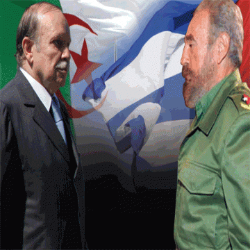Mort de Fidel castro: Bouteflika expirme son «immense tristesse» et décréte un deuil de 8 jours en Algérie