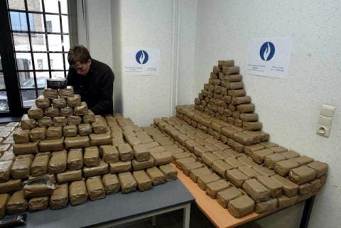 Algérie: saisie de près de 85 tonnes de cannabis depuis le début de 2016