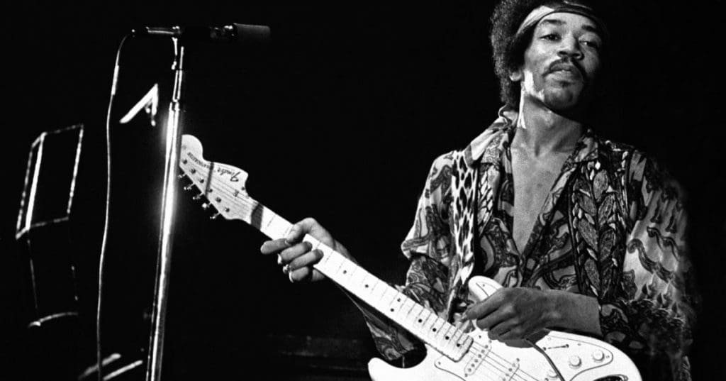 Jimi Hendrix donne son nom à une fleur…
