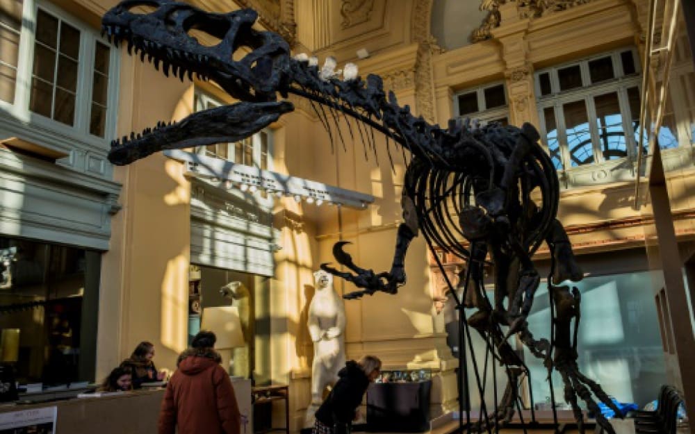 Le squelette d’un dinosaure vendu au dessus de son estimation de base