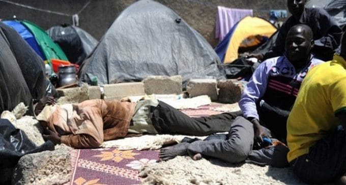 Expuslion de subsahariens par Alger: l’institut japonais Sapporo parle d’un « crime contre l’humanité »