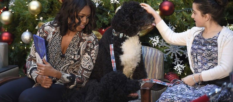 La chienne de Barack Obama mord une invitée au visage (photo)
