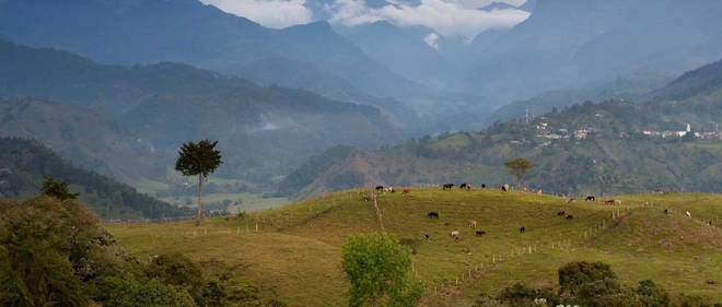 Colombie: Découverte du fossile d’un plésiosaure vieux de 127 millions d’années