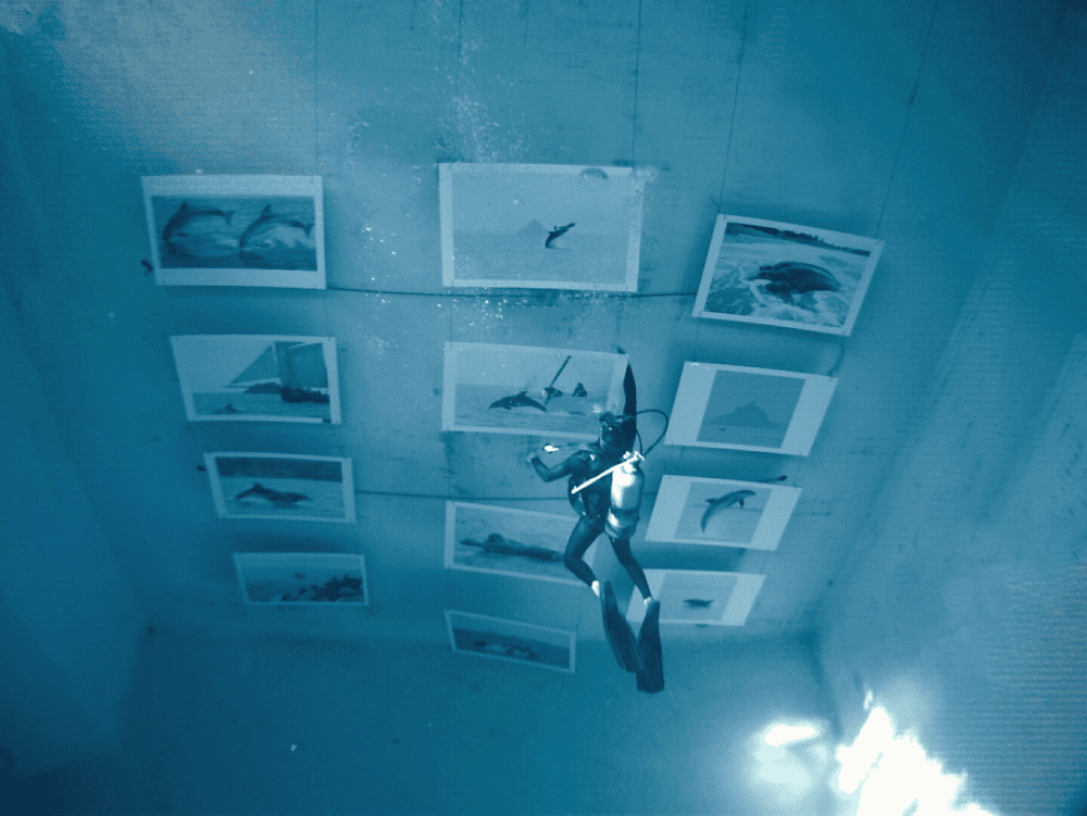 Saint Malo: une expo…sous l’eau!