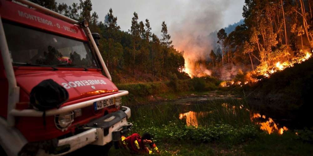 Portugal: Un violent feu de forêt dans le centre du pays  fait 58 morts et 54 blessés