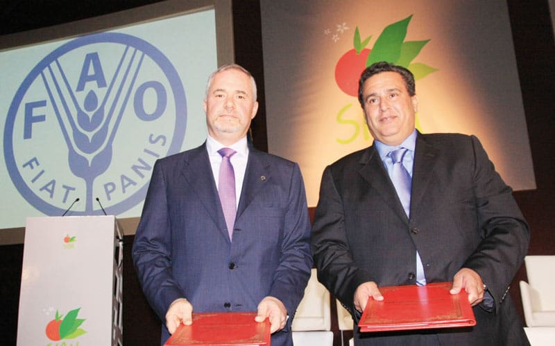 En 5 ans la FAO a conclu 81 projets au Maroc