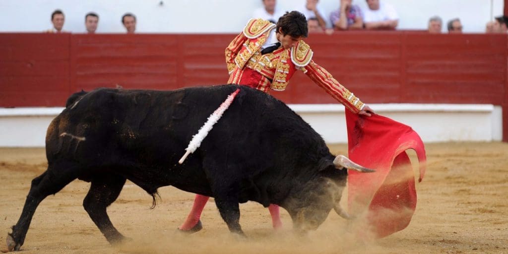 Espagne: Les Baléares disent NON aux corridas avec mise à mort des taureaux