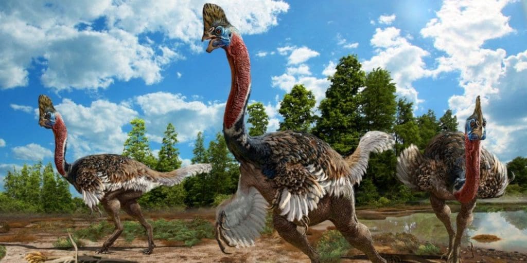 Chine: Un animal  aux allures d’autruche multicolore découvert par des chercheurs