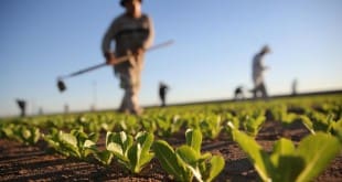 Maroc-Brésil: Une rencontre pour étudier de nouvelles perspectives agricoles