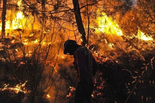 Les feux de foret reprennent au Portugal