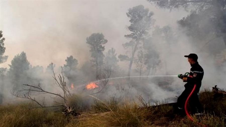 Algérie: Neuf personnes tuées et 17 autres blessés dans des feux de forets